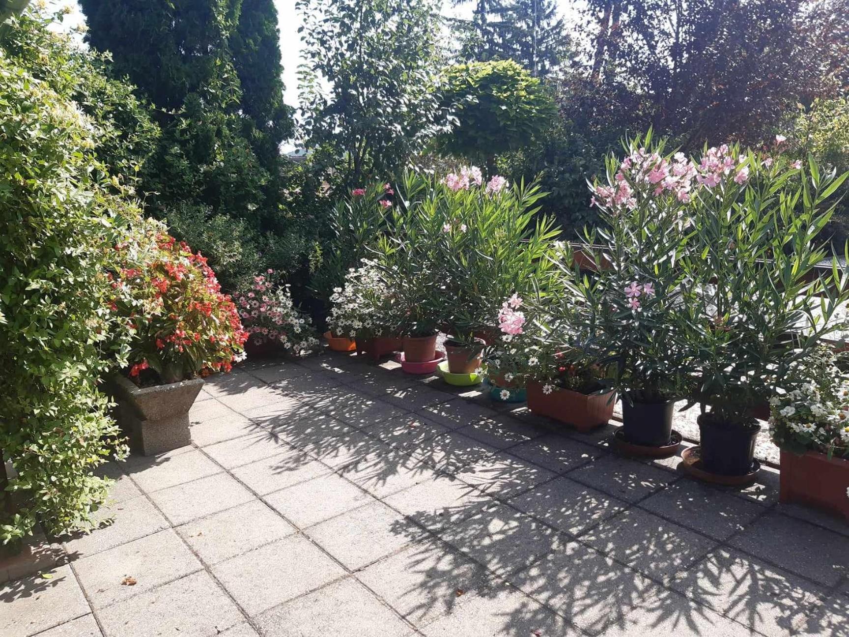 Gyoengyvirag Apartment Romhány Екстериор снимка