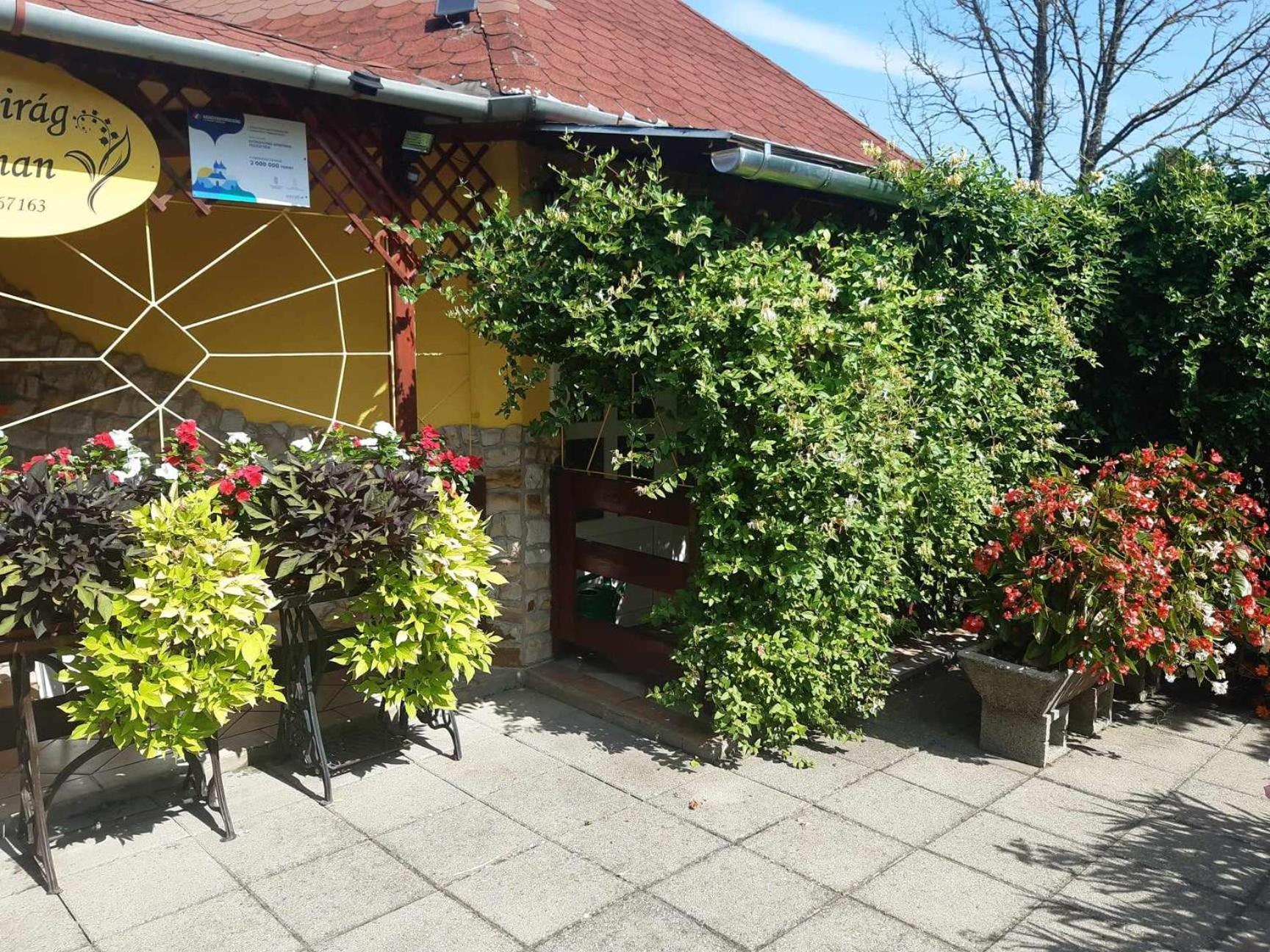 Gyoengyvirag Apartment Romhány Екстериор снимка
